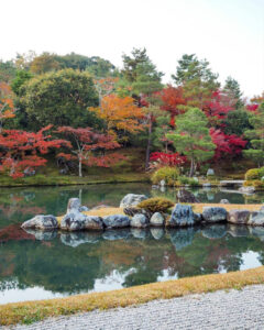 嵯峨嵐山 天龍寺、紅葉、日本庭園、11月秋、京都府京都市の観光・撮影スポットの名所
